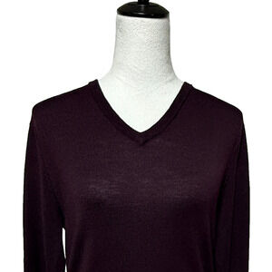 J Crew Sweater Womens Small Purple Slim Merino Wool V Neck Pullover Career